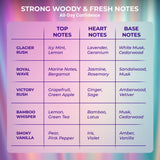 Slayd Fresh Signature Vault Unisex Perfume – Pack of 5