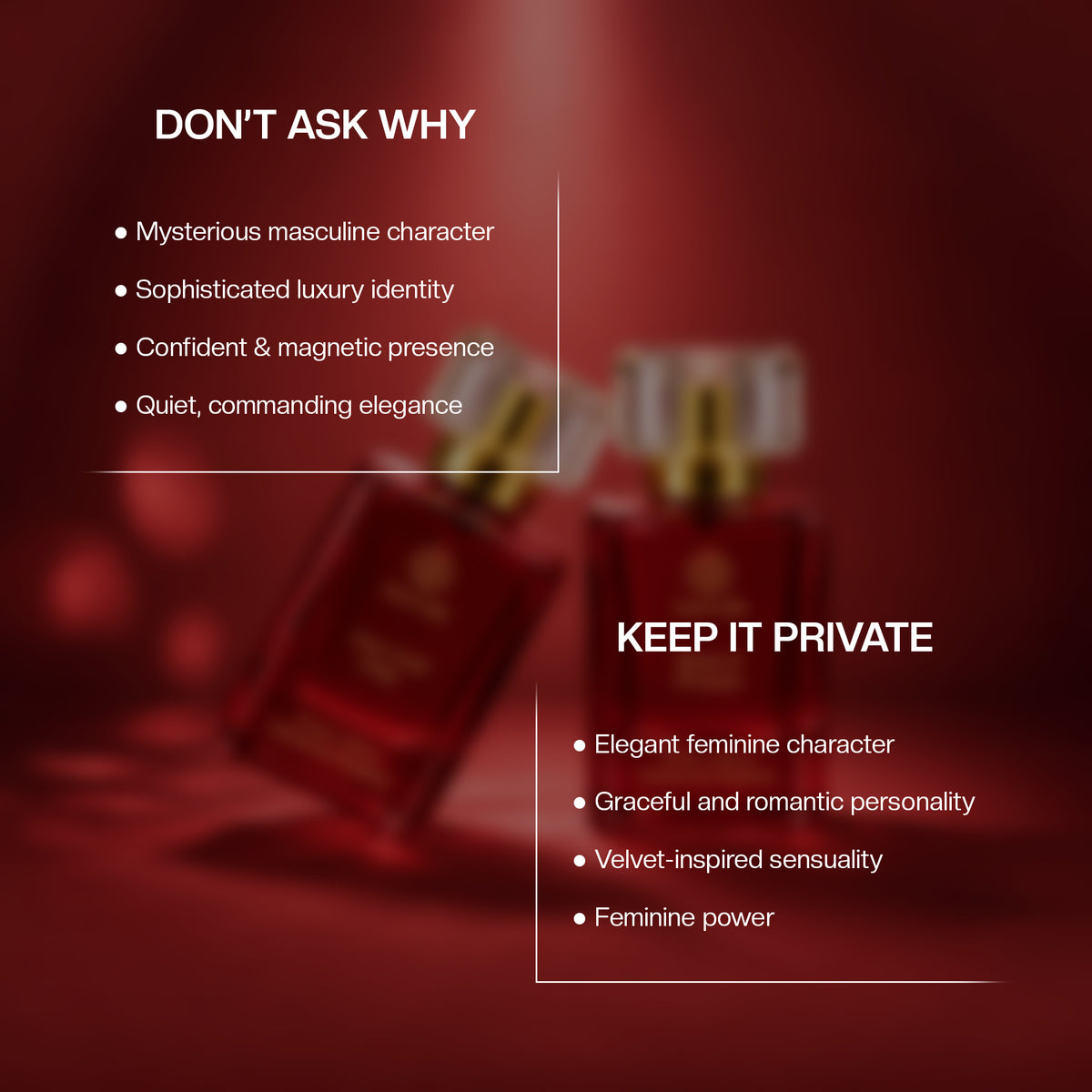 Aurrelis Oud Prive Collection perfume gift set featuring Don’t Ask Why and Keep It Private luxury unisex extrait de parfum bottles.